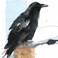 Crow