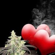 ydr