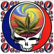 Deadhead91
