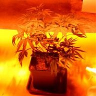 barry2067