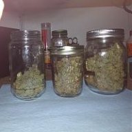 growsomebuds