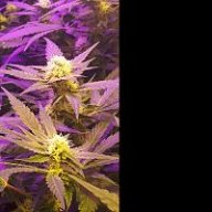 keepgrowing56