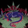 LandDragon