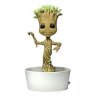 Potted