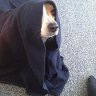 Obi-Wan