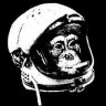 Monkey Allen