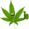 MrGreenThumb