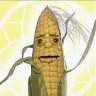Cornsage