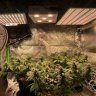403grower