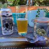 Sudsnbuds