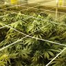 Freshlybaked