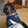Cowboysnation67