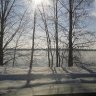 Snowls50