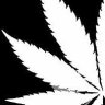 Ganja