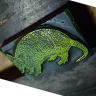 GreenArmadillo