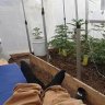 GreenhouseEffect