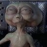 MarkyJ