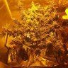Graff420