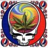 Deadhead91