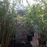 BundyBuds