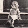 Munkey