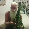 mygreenthumb54