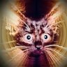 CatMomma