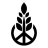TraderGreen16