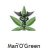 MaÃ±'O'Green