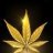 Kingmidas409
