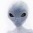Vitreous