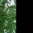 PlantMatters