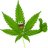 MrGreenThumb
