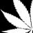 Ganja