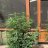 Smallgrow