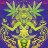 dakini9